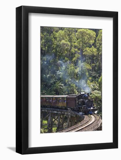 Australia, Victoria, Belgrave, Puffing Billy Steam Train-Walter Bibikow-Framed Photographic Print