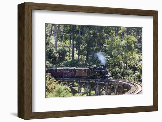 Australia, Victoria, Belgrave, Puffing Billy Steam Train-Walter Bibikow-Framed Photographic Print