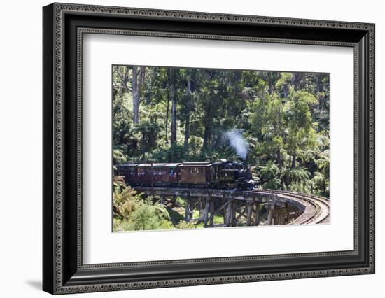 Australia, Victoria, Belgrave, Puffing Billy Steam Train-Walter Bibikow-Framed Photographic Print