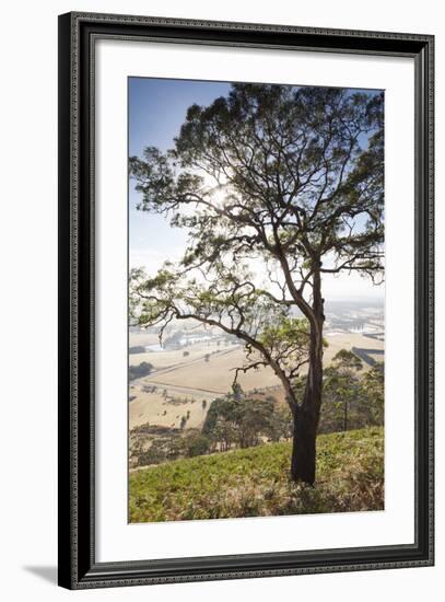 Australia, Victoria, Buninyong, Landscape from Mount Buninyong-Walter Bibikow-Framed Photographic Print