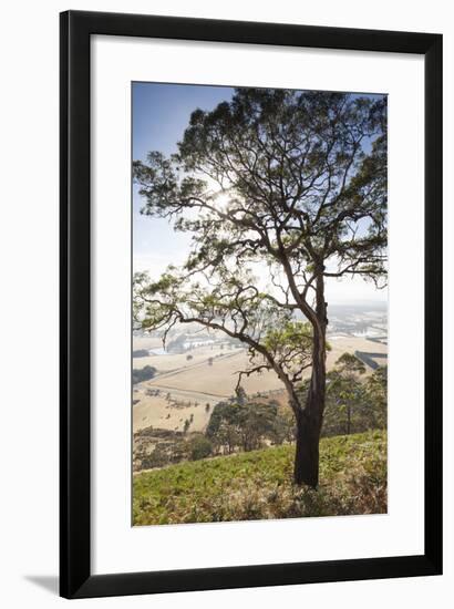 Australia, Victoria, Buninyong, Landscape from Mount Buninyong-Walter Bibikow-Framed Photographic Print