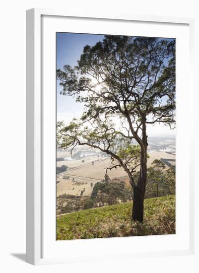 Australia, Victoria, Buninyong, Landscape from Mount Buninyong-Walter Bibikow-Framed Photographic Print