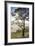 Australia, Victoria, Buninyong, Landscape from Mount Buninyong-Walter Bibikow-Framed Photographic Print