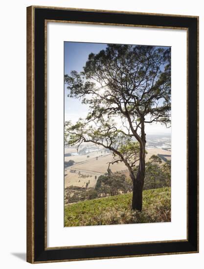 Australia, Victoria, Buninyong, Landscape from Mount Buninyong-Walter Bibikow-Framed Photographic Print