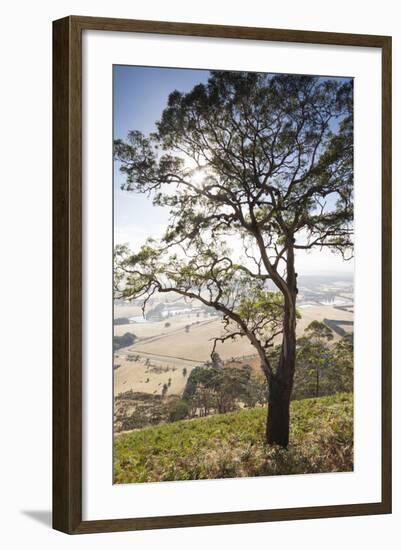 Australia, Victoria, Buninyong, Landscape from Mount Buninyong-Walter Bibikow-Framed Photographic Print