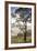 Australia, Victoria, Buninyong, Landscape from Mount Buninyong-Walter Bibikow-Framed Photographic Print