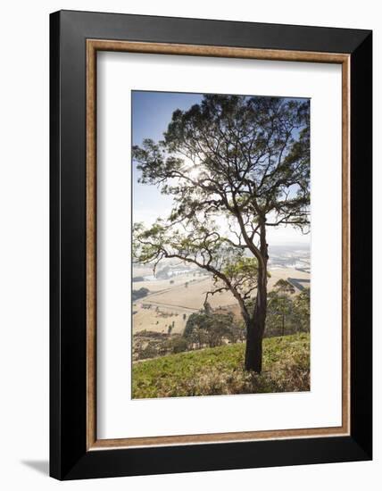 Australia, Victoria, Buninyong, Landscape from Mount Buninyong-Walter Bibikow-Framed Photographic Print