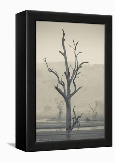 Australia, Victoria, Huon, Lake Hume with Forest Fire Smoke-Walter Bibikow-Framed Premier Image Canvas