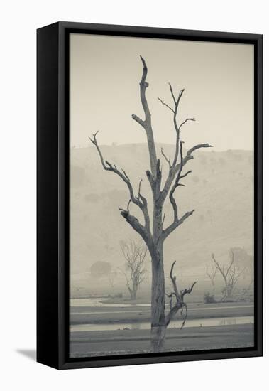 Australia, Victoria, Huon, Lake Hume with Forest Fire Smoke-Walter Bibikow-Framed Premier Image Canvas