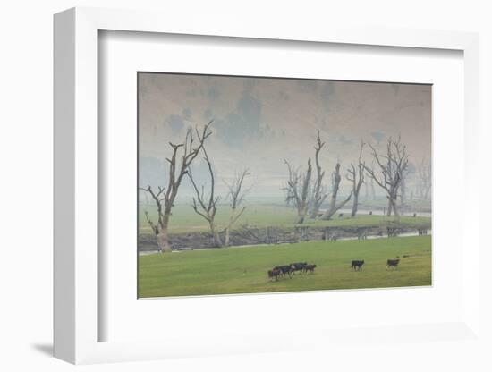 Australia, Victoria, Huon, Lake Hume with Forest Fire Smoke-Walter Bibikow-Framed Photographic Print