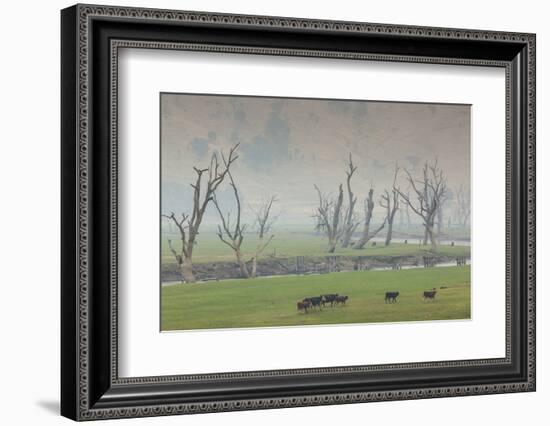 Australia, Victoria, Huon, Lake Hume with Forest Fire Smoke-Walter Bibikow-Framed Photographic Print