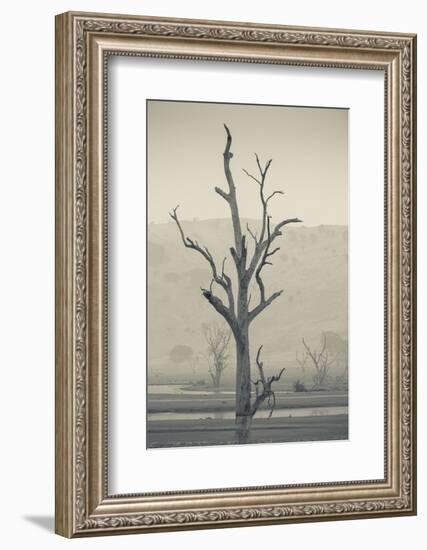 Australia, Victoria, Huon, Lake Hume with Forest Fire Smoke-Walter Bibikow-Framed Photographic Print