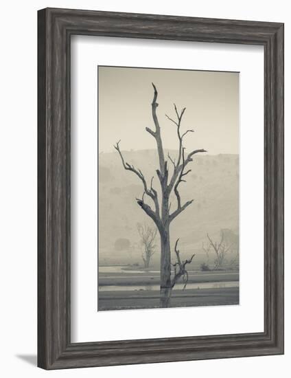 Australia, Victoria, Huon, Lake Hume with Forest Fire Smoke-Walter Bibikow-Framed Photographic Print
