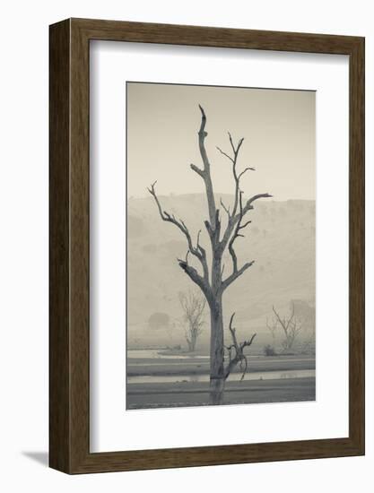 Australia, Victoria, Huon, Lake Hume with Forest Fire Smoke-Walter Bibikow-Framed Photographic Print