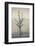 Australia, Victoria, Huon, Lake Hume with Forest Fire Smoke-Walter Bibikow-Framed Photographic Print