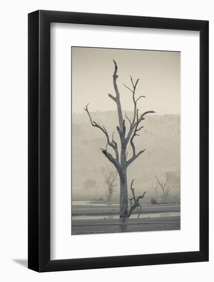 Australia, Victoria, Huon, Lake Hume with Forest Fire Smoke-Walter Bibikow-Framed Photographic Print