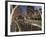 Australia, Victoria, Melbourne, Docklands-Andrew Watson-Framed Photographic Print