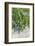 Australia, Victoria, Rutherglen, Vineyard Detail-Walter Bibikow-Framed Photographic Print