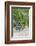 Australia, Victoria, Rutherglen, Vineyard Detail-Walter Bibikow-Framed Photographic Print