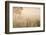 Australia, Victoria, Yarra Valley, Healesville, Field with Fog, Dawn-Walter Bibikow-Framed Photographic Print