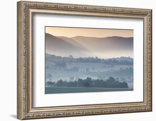 Australia, Victoria, Yarra Valley, Landscape, Dawn-Walter Bibikow-Framed Photographic Print