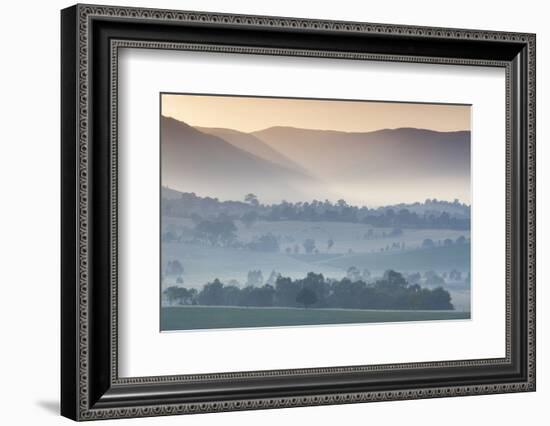 Australia, Victoria, Yarra Valley, Landscape, Dawn-Walter Bibikow-Framed Photographic Print