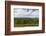 Australia, Victoria, Yarra Valley, Vineyard-Walter Bibikow-Framed Photographic Print