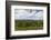 Australia, Victoria, Yarra Valley, Vineyard-Walter Bibikow-Framed Photographic Print