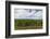 Australia, Victoria, Yarra Valley, Vineyard-Walter Bibikow-Framed Photographic Print