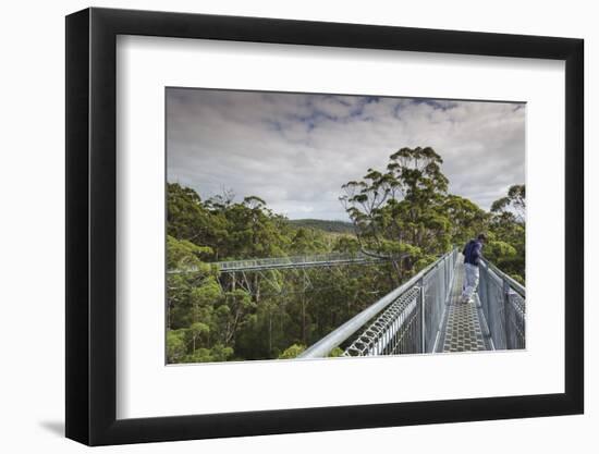 Australia, Walpole Nornalup, Valley of the Giants Tree Top Walk-Walter Bibikow-Framed Photographic Print