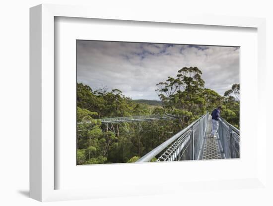 Australia, Walpole Nornalup, Valley of the Giants Tree Top Walk-Walter Bibikow-Framed Photographic Print