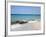 Australia, Western Australia, Geographe Bay, Dunsborough; Eagle Bay-Andrew Watson-Framed Photographic Print