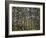 Australia, Western Australia, Leeuwin-Naturaliste National Park, Boranup-Andrew Watson-Framed Photographic Print