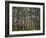 Australia, Western Australia, Leeuwin-Naturaliste National Park, Boranup-Andrew Watson-Framed Photographic Print