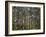 Australia, Western Australia, Leeuwin-Naturaliste National Park, Boranup-Andrew Watson-Framed Photographic Print