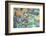 Australian 100 Dollar Bills-Neale Cousland-Framed Photographic Print