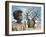 Australian Aborigine-English School-Framed Giclee Print