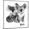 Australian Animals Watercolor Illustration Hand Drawn Wildlife Isolated on a White Background. Koal-Kat_Branch-Mounted Art Print