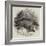 Australian Ant-Eater, at the Gardens of the Zoological Society-null-Framed Giclee Print