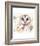 Australian Barn Owl-Sillier than Sally-Framed Art Print