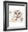 Australian Barn Owl-Sillier than Sally-Framed Art Print