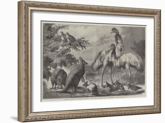 Australian Birds and Animals Presented by the Duke of Edinburgh to the Prince of Wales-Samuel John Carter-Framed Giclee Print