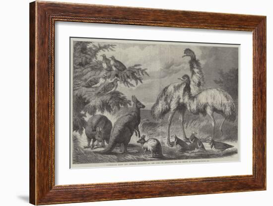 Australian Birds and Animals Presented by the Duke of Edinburgh to the Prince of Wales-Samuel John Carter-Framed Giclee Print