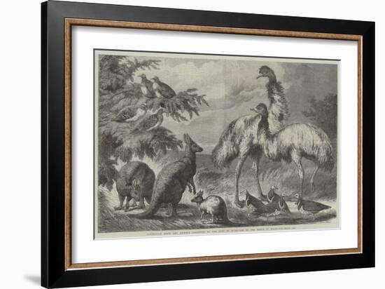 Australian Birds and Animals Presented by the Duke of Edinburgh to the Prince of Wales-Samuel John Carter-Framed Giclee Print