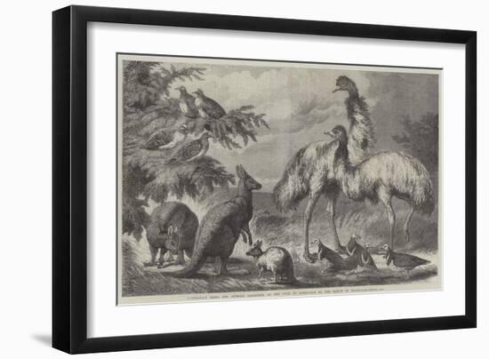 Australian Birds and Animals Presented by the Duke of Edinburgh to the Prince of Wales-Samuel John Carter-Framed Giclee Print