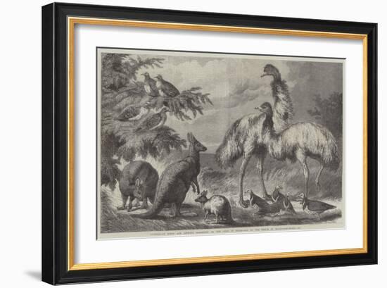 Australian Birds and Animals Presented by the Duke of Edinburgh to the Prince of Wales-Samuel John Carter-Framed Giclee Print