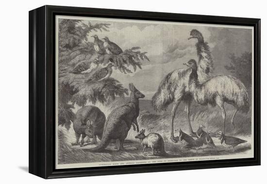 Australian Birds and Animals Presented by the Duke of Edinburgh to the Prince of Wales-Samuel John Carter-Framed Premier Image Canvas