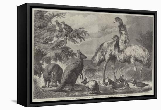 Australian Birds and Animals Presented by the Duke of Edinburgh to the Prince of Wales-Samuel John Carter-Framed Premier Image Canvas