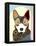 Australian Cattle Dog-Adefioye Lanre-Framed Premier Image Canvas