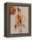 Australian Fashion 1, 2016-Susan Adams-Framed Premier Image Canvas